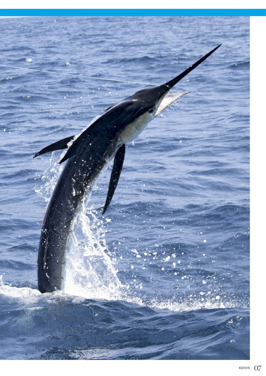 Fishing Reads Preview Pages