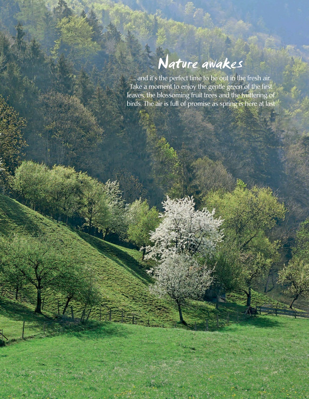LandLove Magazine Preview Pages