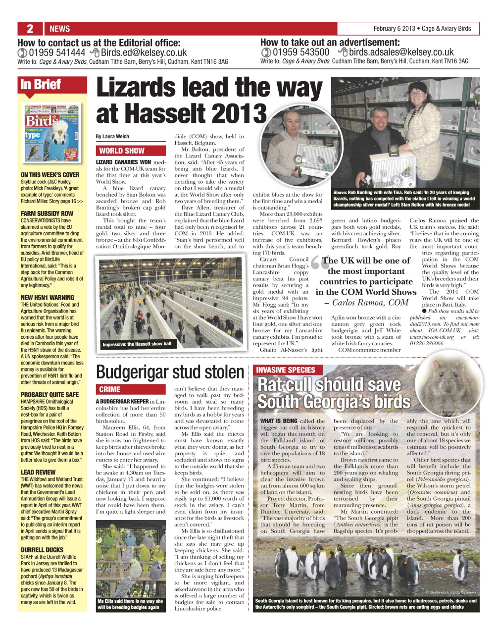 Cage & Aviary Birds Preview Pages