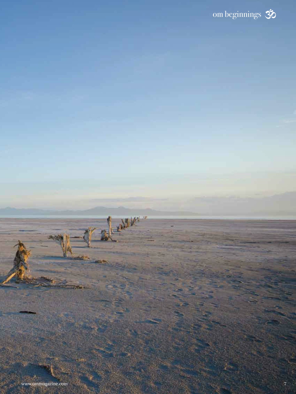 OM Yoga Magazine Preview Pages