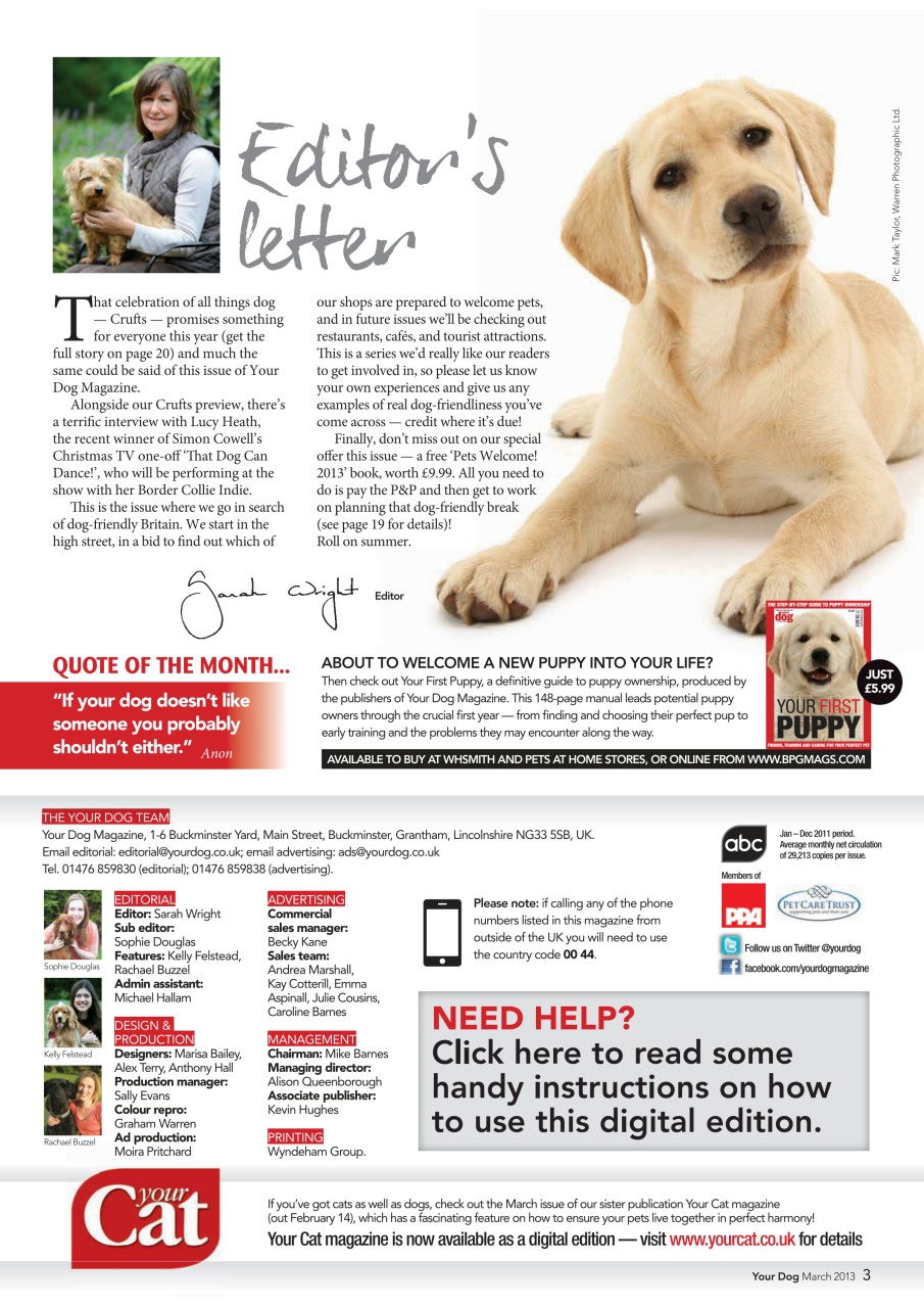 Your Dog Preview Pages