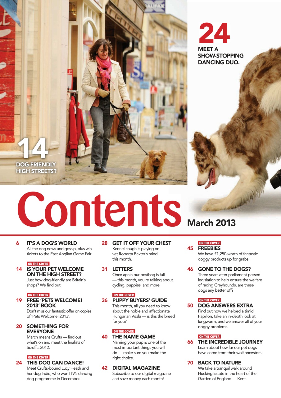 Your Dog Preview Pages