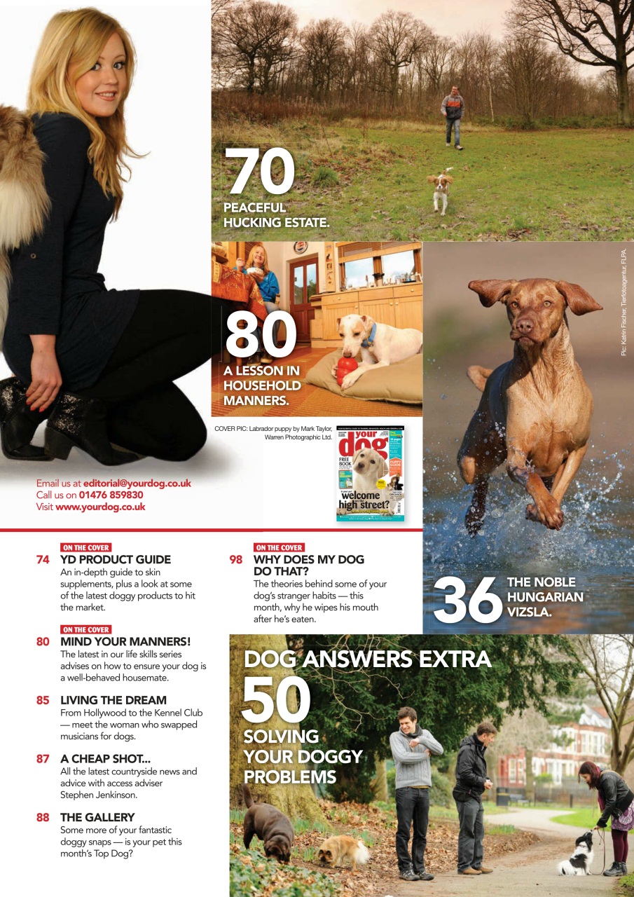 Your Dog Preview Pages