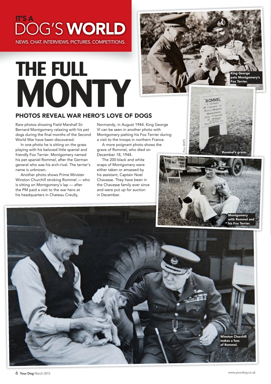 Your Dog Preview Pages