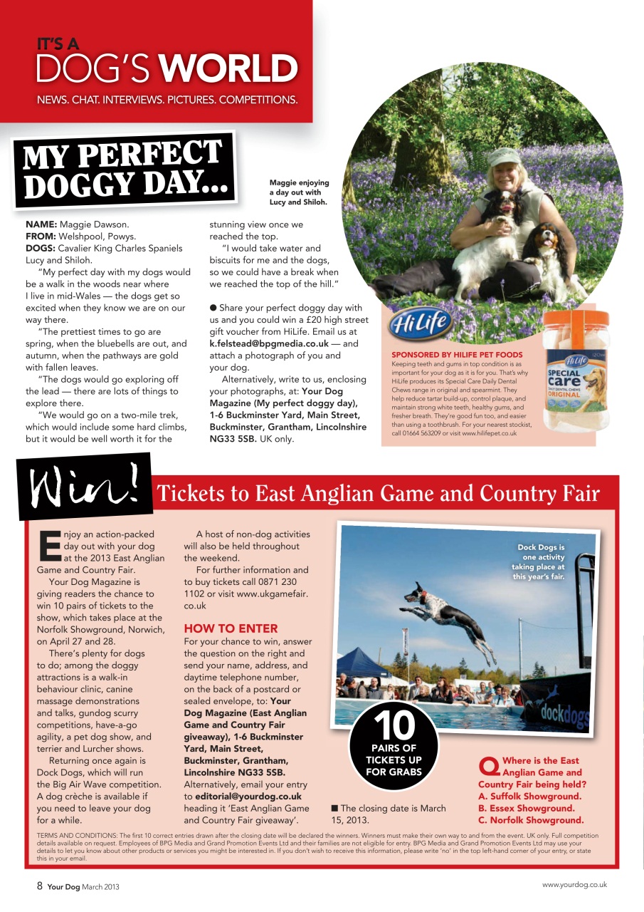 Your Dog Preview Pages