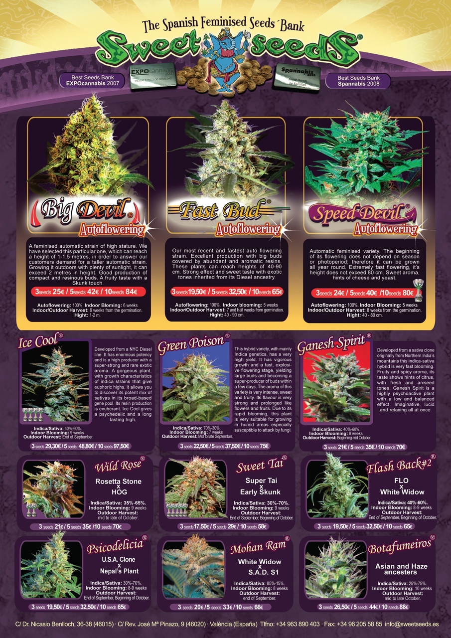 Weed World Preview Pages