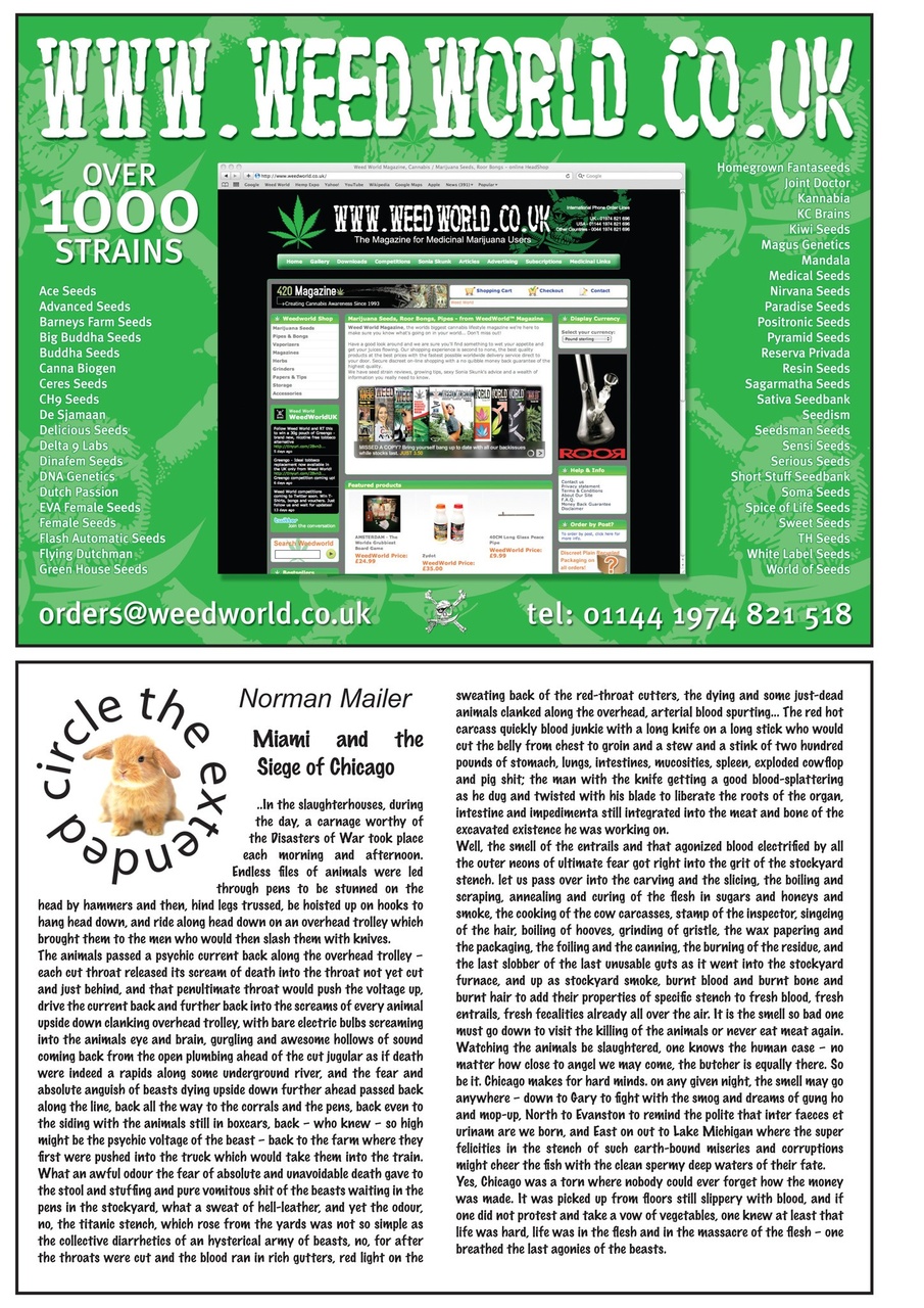 Weed World Preview Pages