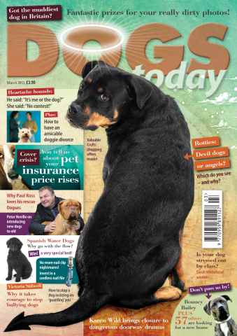 Dogs Today Magazine issue March 2013