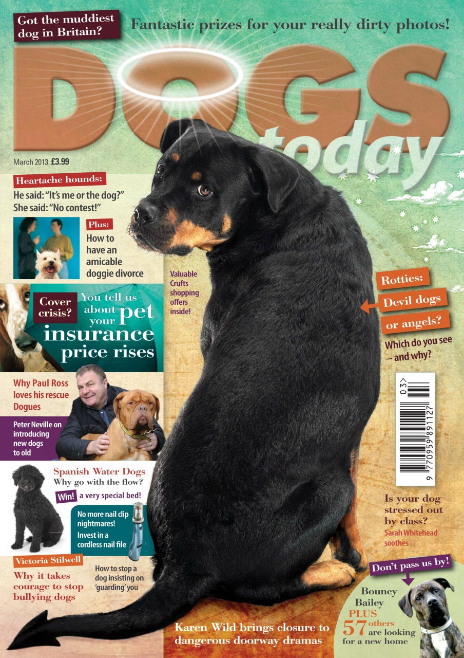 Dogs Today Magazine Preview Pages