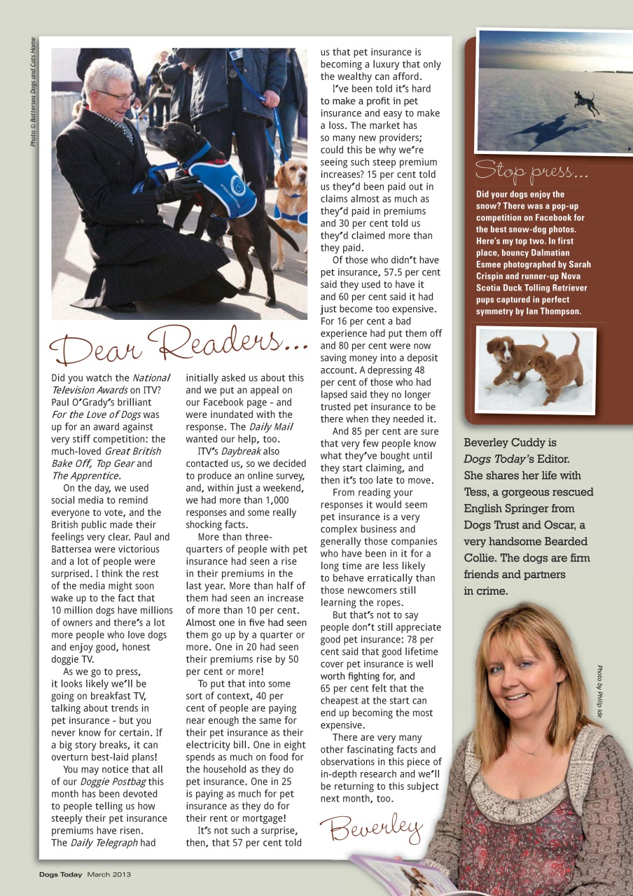Dogs Today Magazine Preview Pages