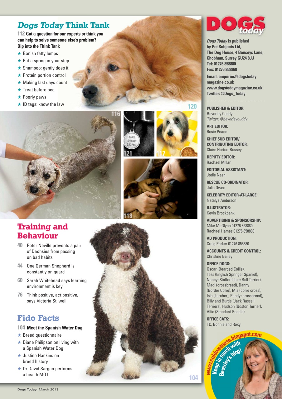 Dogs Today Magazine Preview Pages