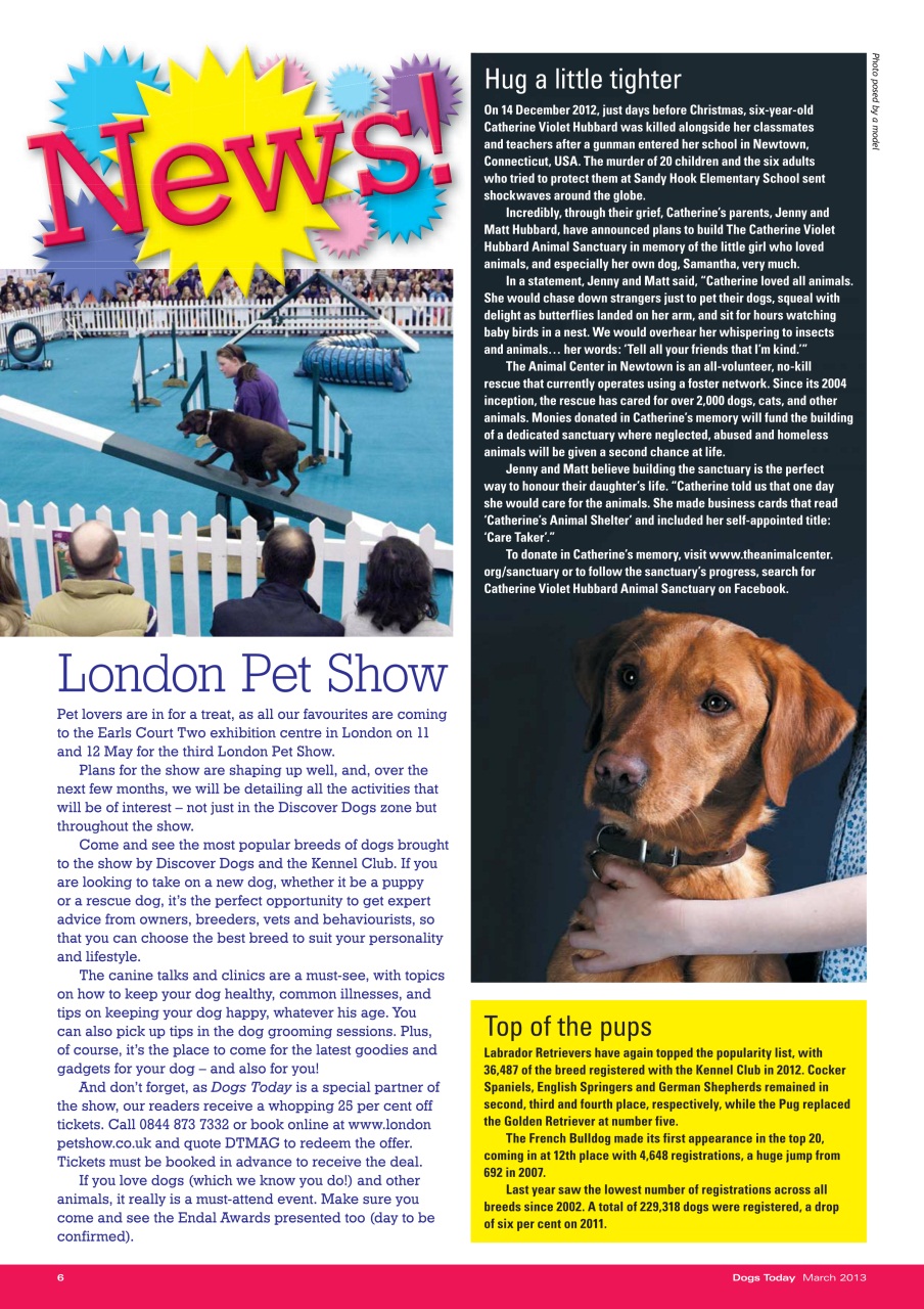 Dogs Today Magazine Preview Pages