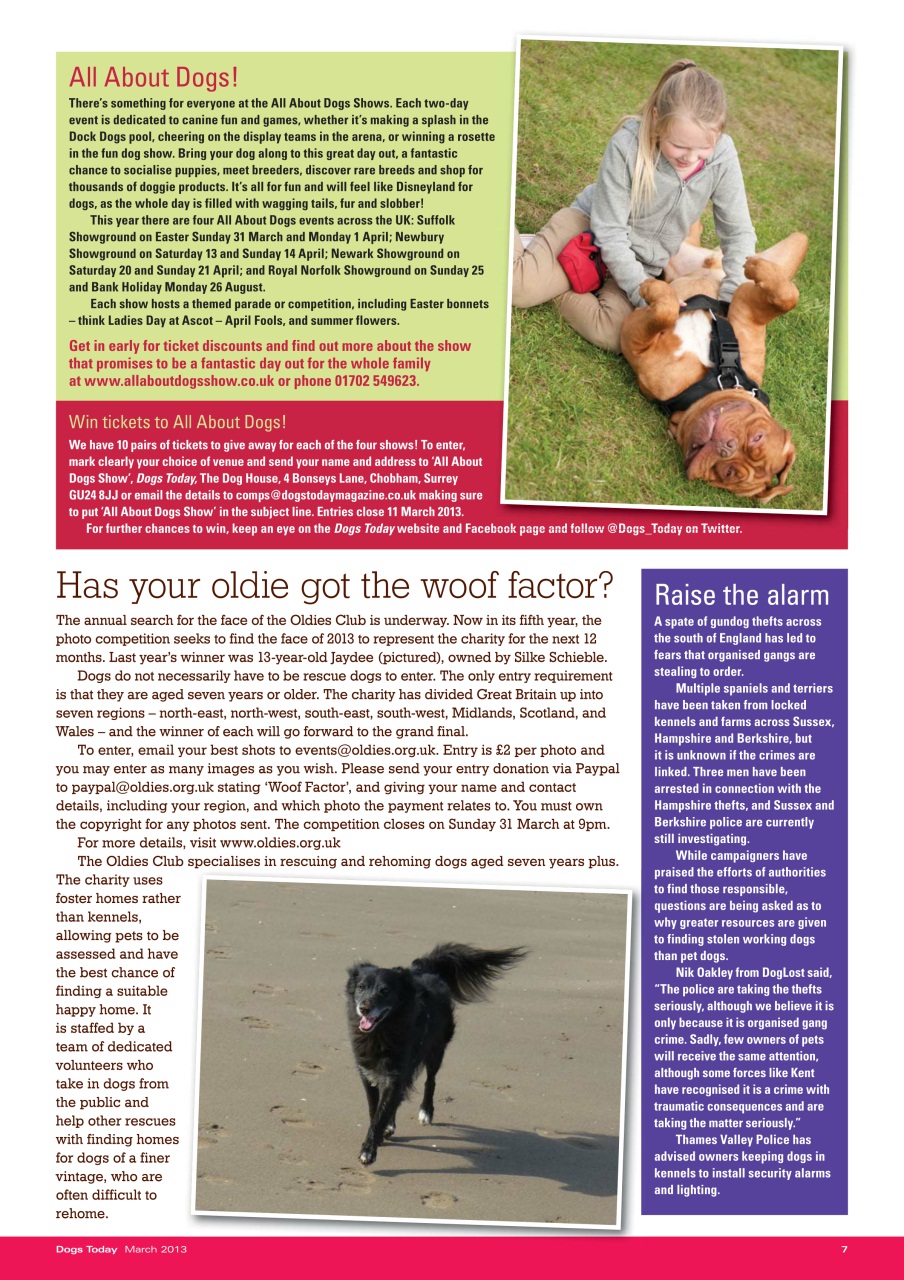 Dogs Today Magazine Preview Pages