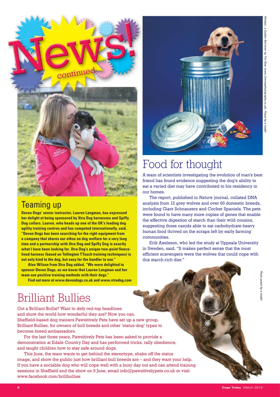 Dogs Today Magazine Preview Pages