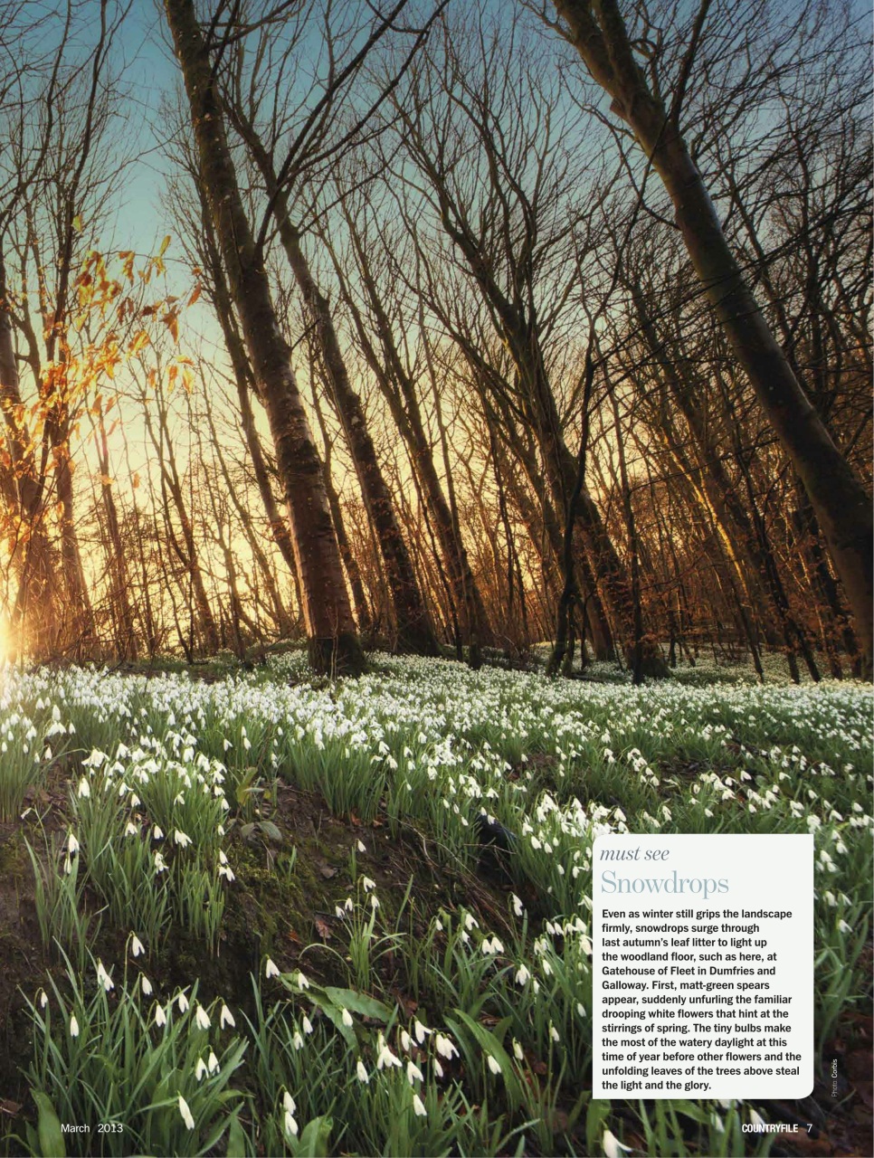 BBC Countryfile Magazine Preview Pages