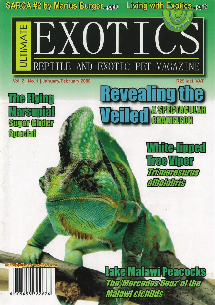 Ultimate Exotics Preview Pages