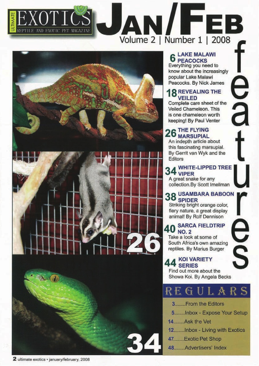 Ultimate Exotics Preview Pages