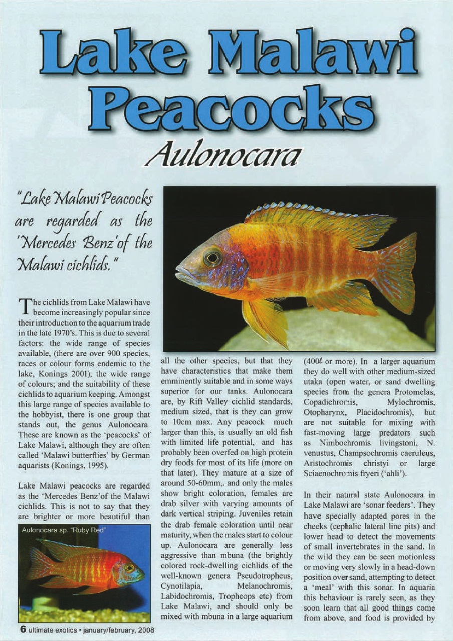 Ultimate Exotics Preview Pages