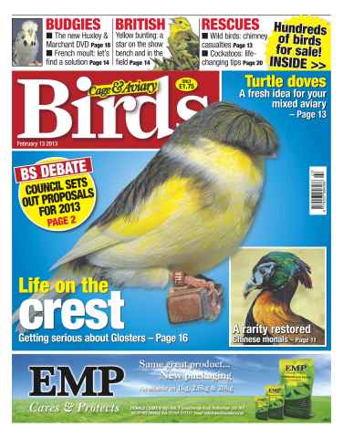Cage & Aviary Birds issue Cage & Aviary 13 February 2013
