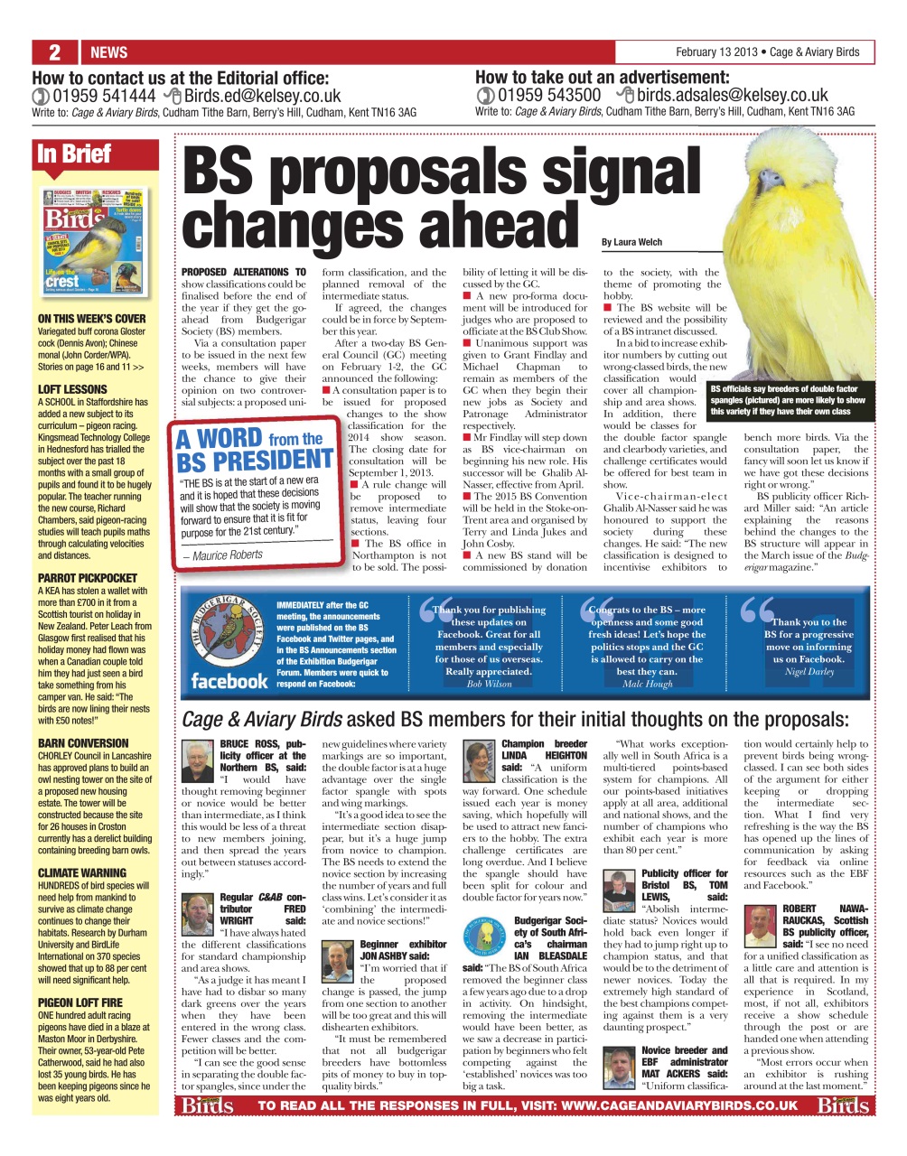 Cage & Aviary Birds Preview Pages