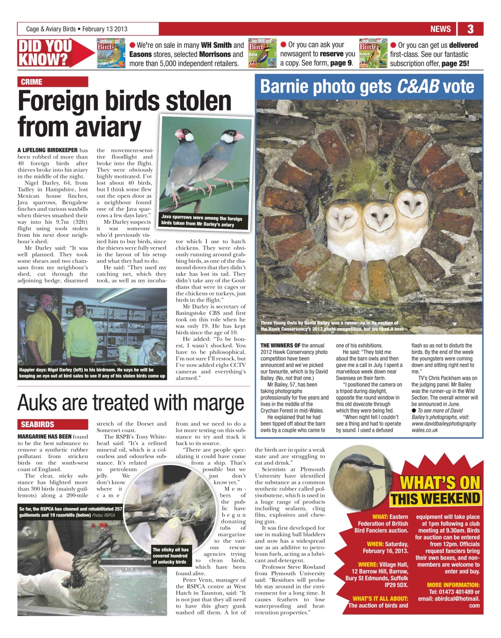 Cage & Aviary Birds Preview Pages