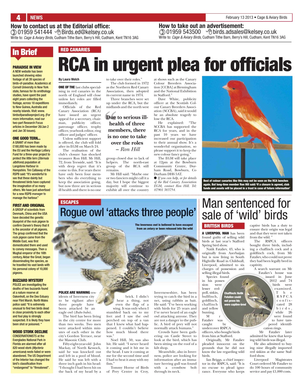 Cage & Aviary Birds Preview Pages