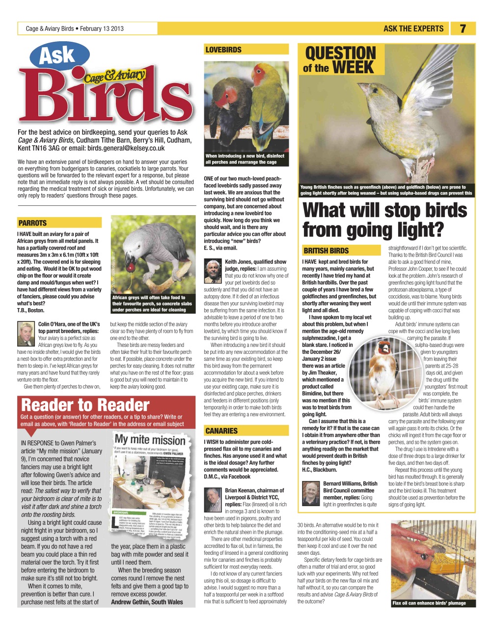 Cage & Aviary Birds Preview Pages