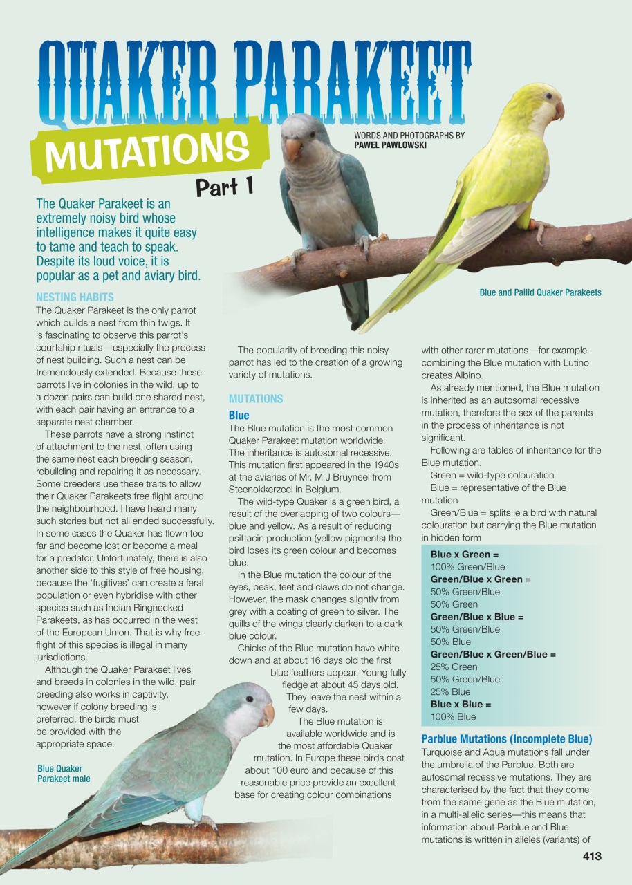 Australian Birdkeeper Magazine Preview Pages