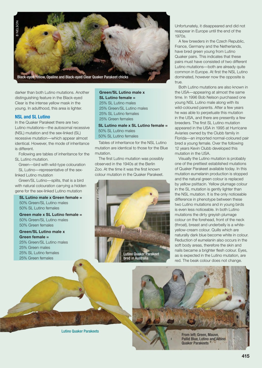 Australian Birdkeeper Magazine Preview Pages