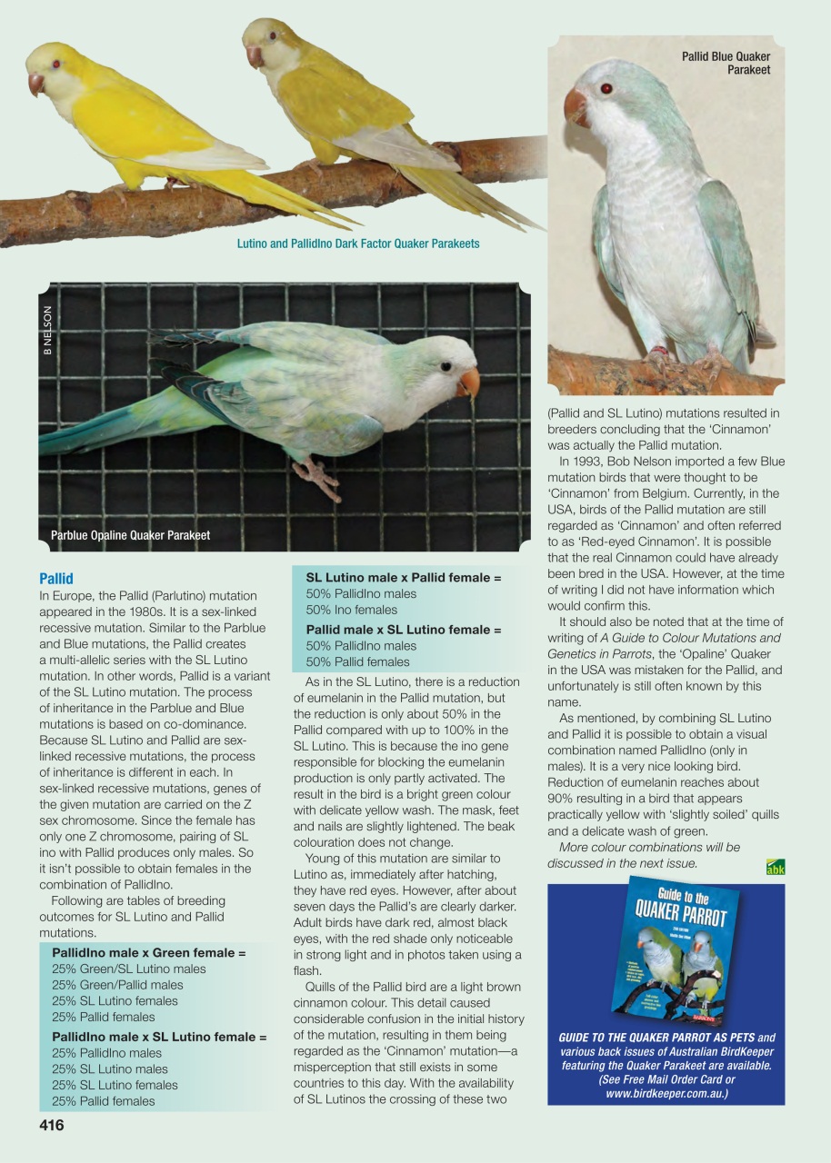 Australian Birdkeeper Magazine Preview Pages