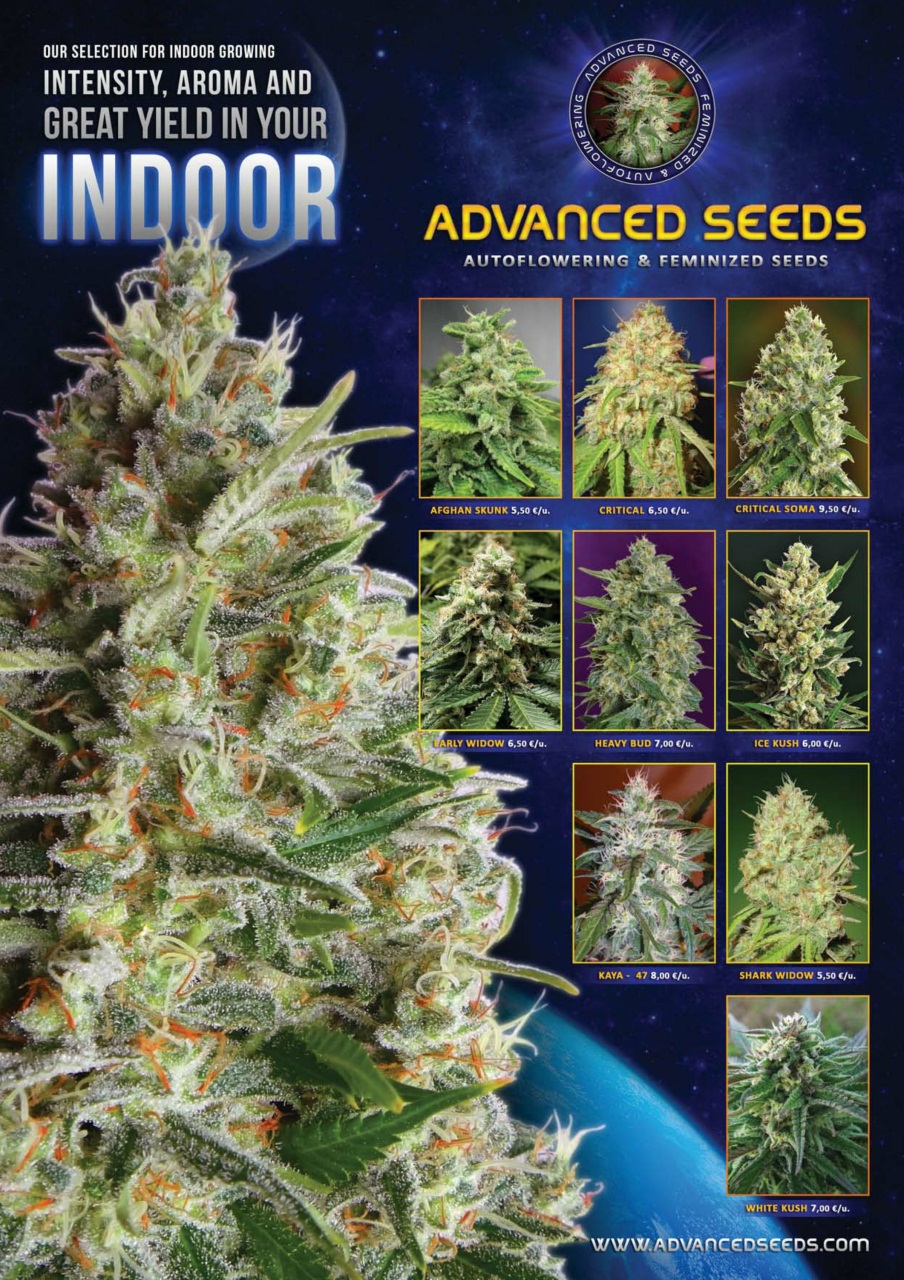 Weed World Preview Pages