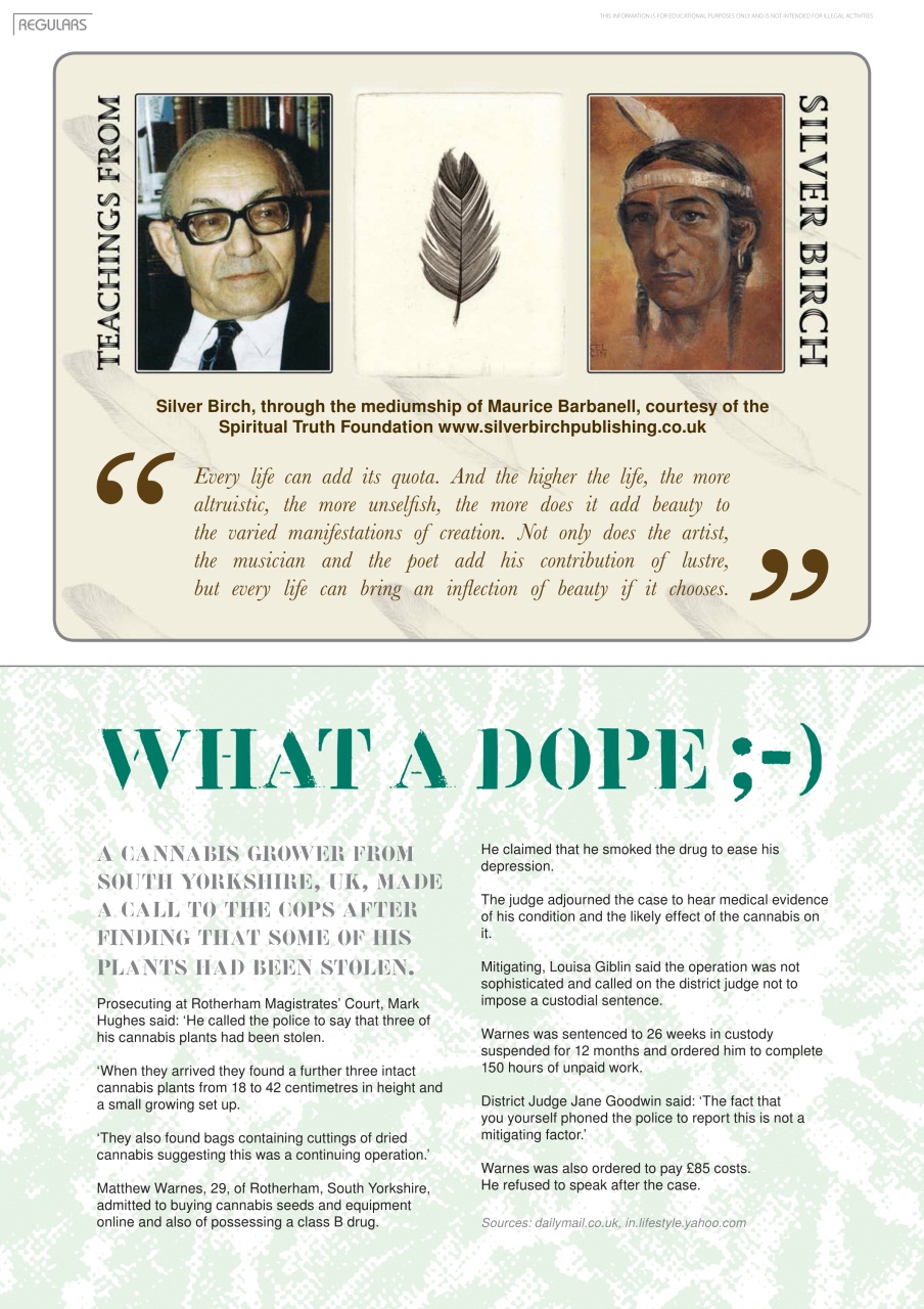 Weed World Preview Pages