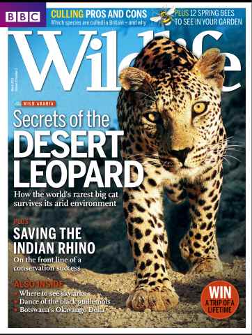 BBC Wildlife Magazine issue March 2013