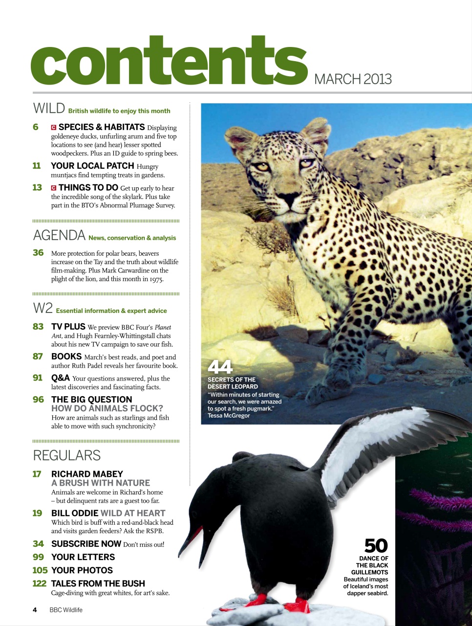 BBC Wildlife Magazine Preview Pages