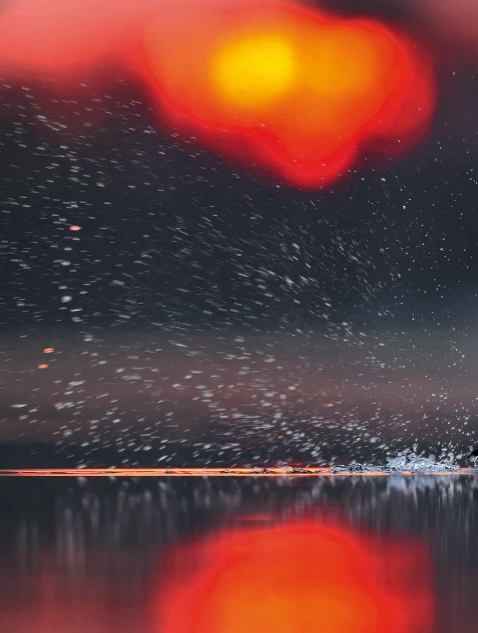 BBC Wildlife Magazine Preview Pages