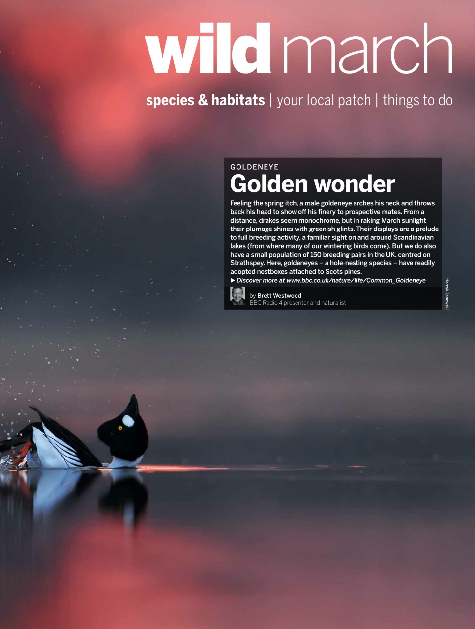 BBC Wildlife Magazine Preview Pages
