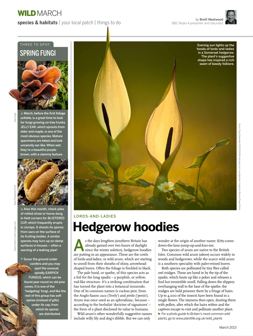 BBC Wildlife Magazine Preview Pages