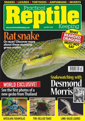 Practical Reptile Keeping issue No.47 Rat Snake