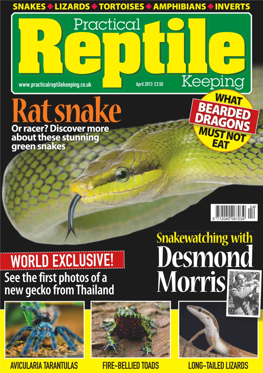 Practical Reptile Keeping Preview Pages