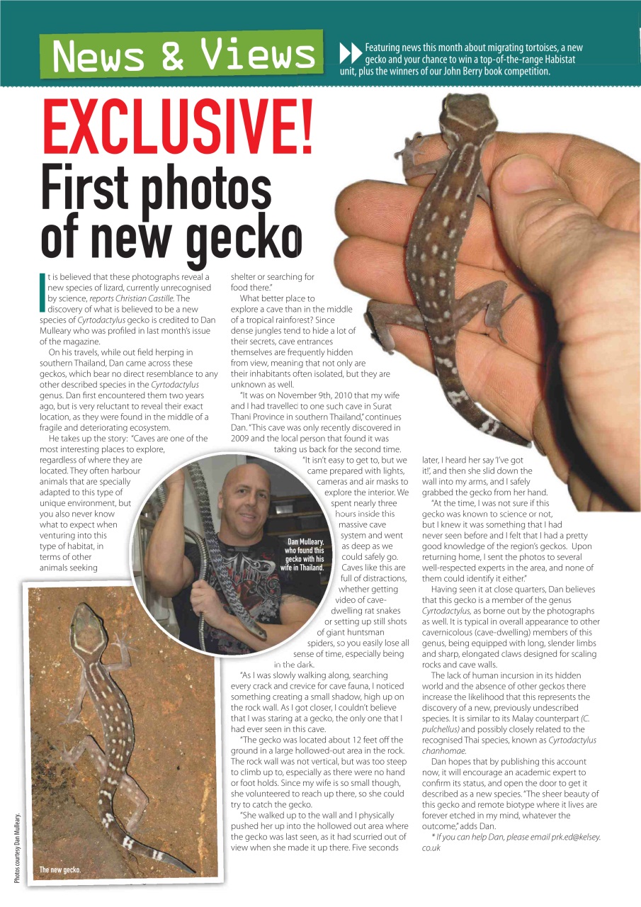 Practical Reptile Keeping Preview Pages