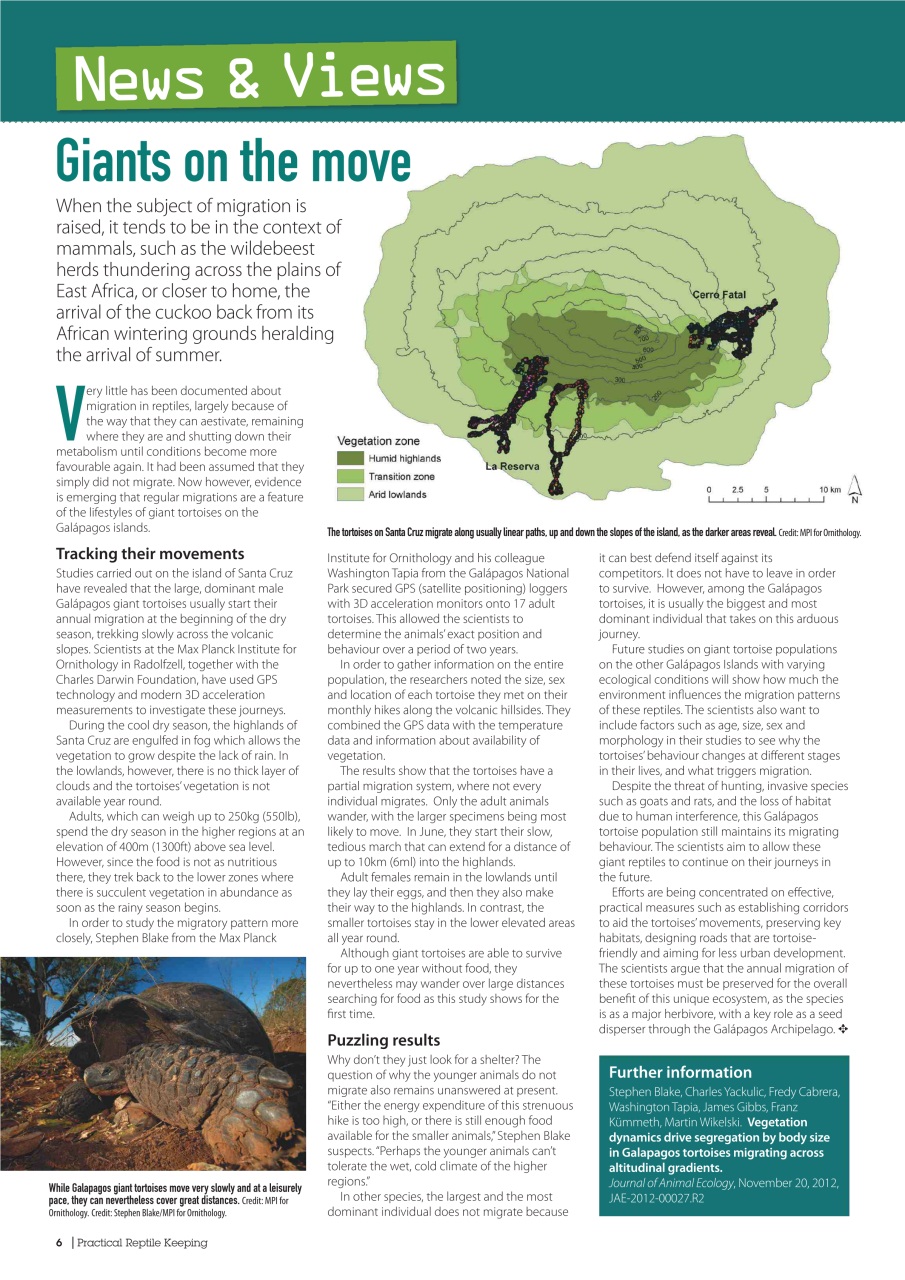 Practical Reptile Keeping Preview Pages
