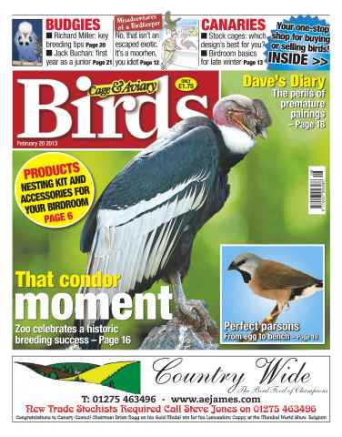 Cage & Aviary Birds issue Cage & Aviary 20 February 2013