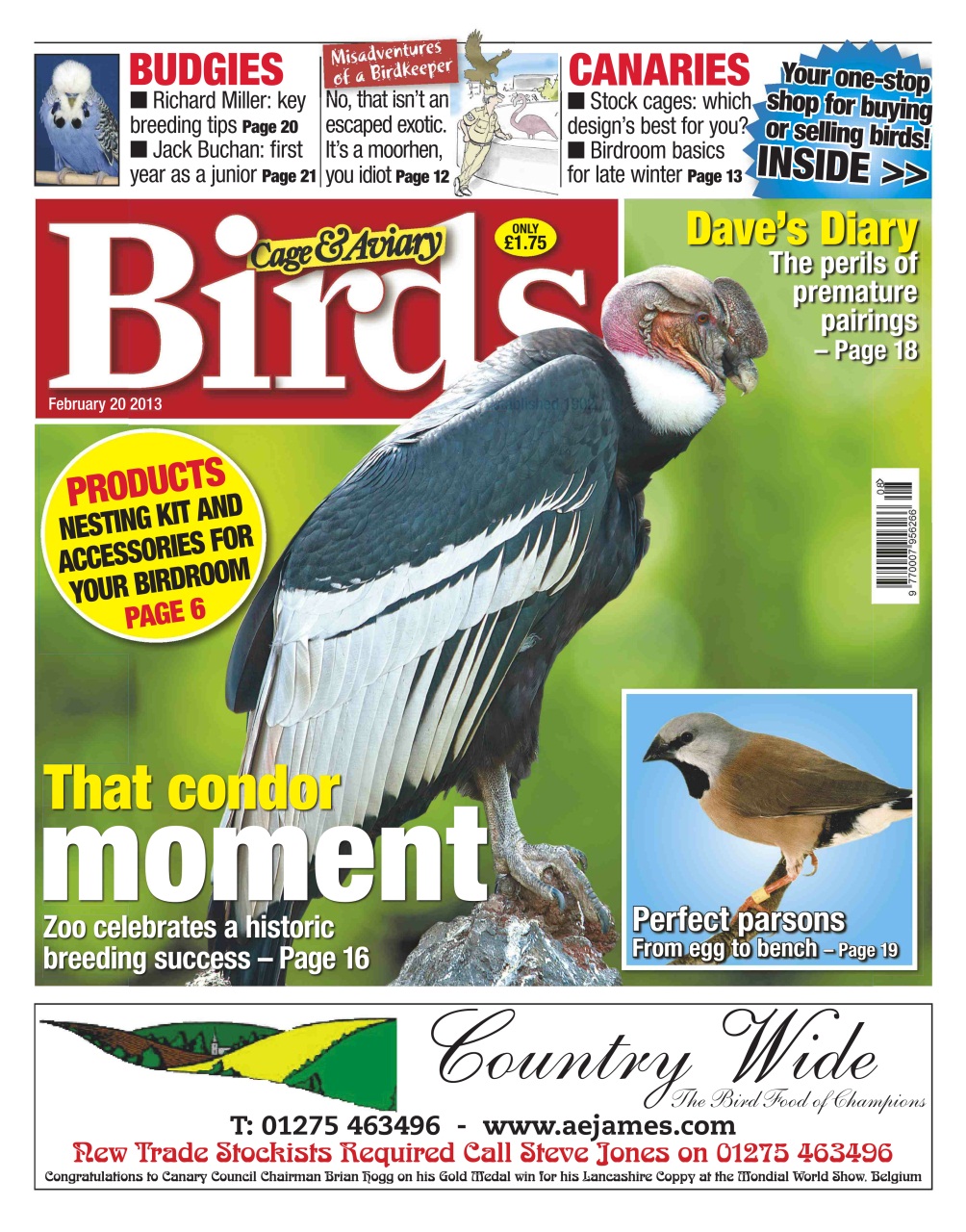 Cage & Aviary Birds Preview Pages