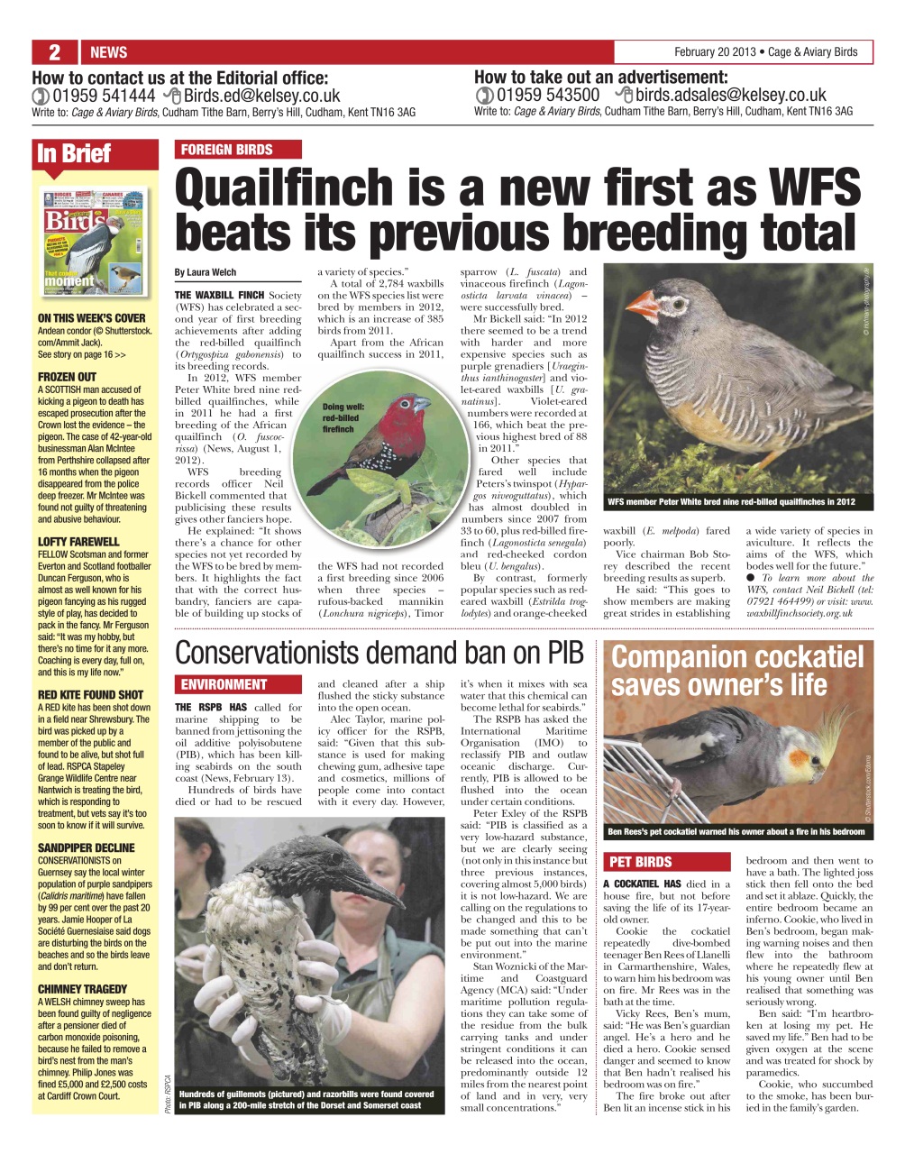 Cage & Aviary Birds Preview Pages