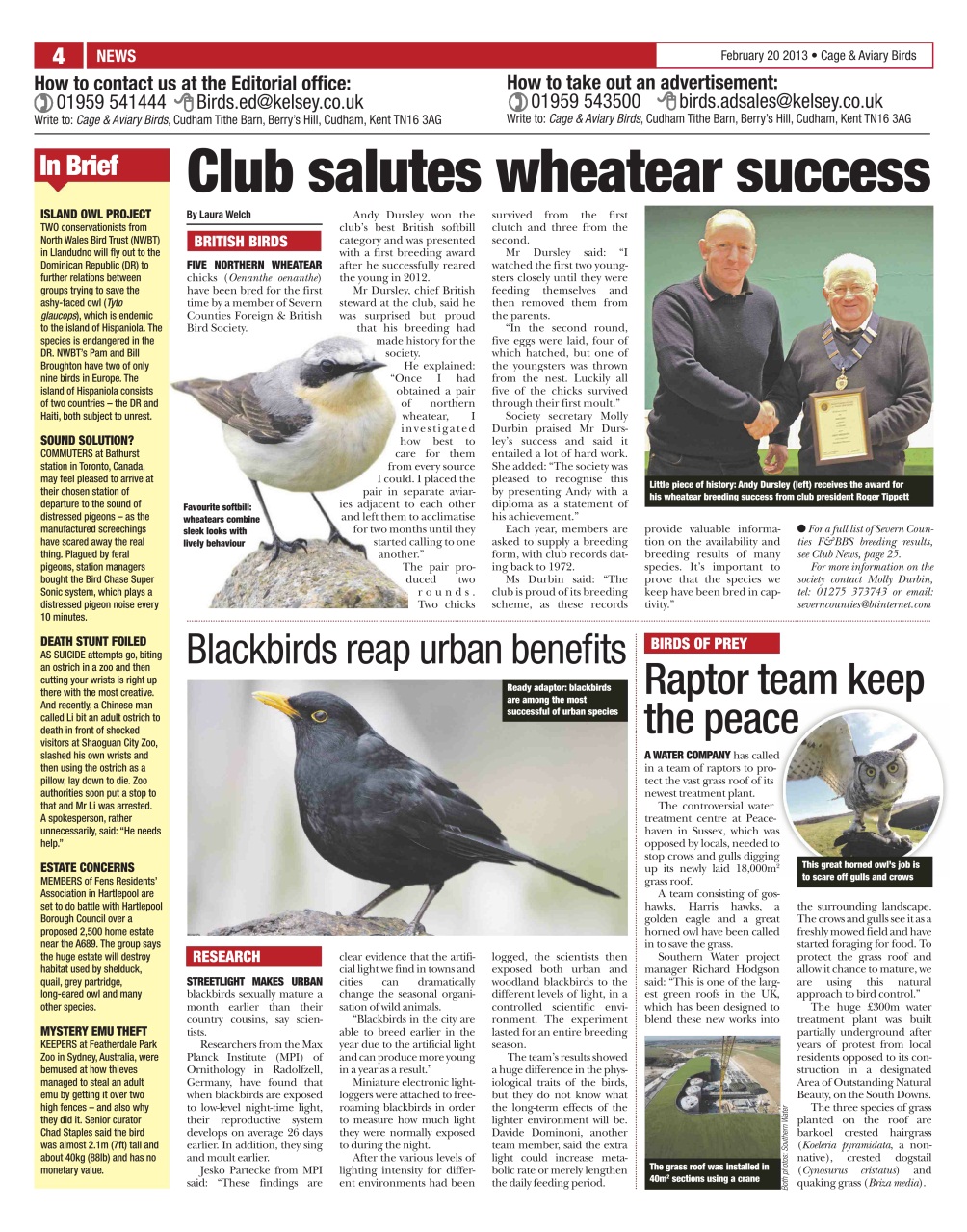 Cage & Aviary Birds Preview Pages