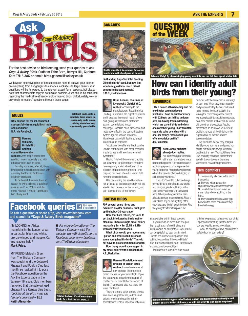 Cage & Aviary Birds Preview Pages