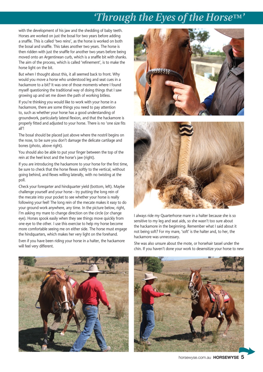 HorseWyse Magazine Preview Pages