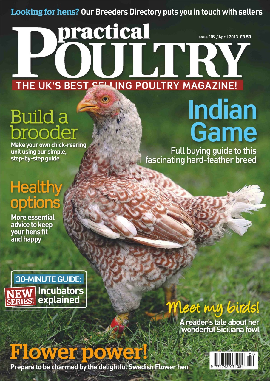 Practical Poultry Preview Pages