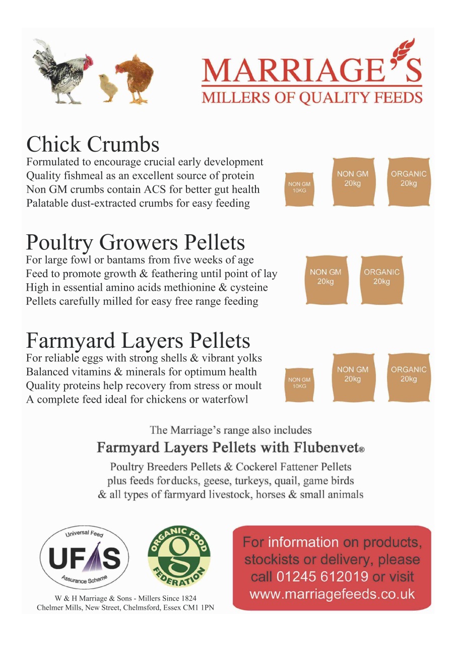 Practical Poultry Preview Pages