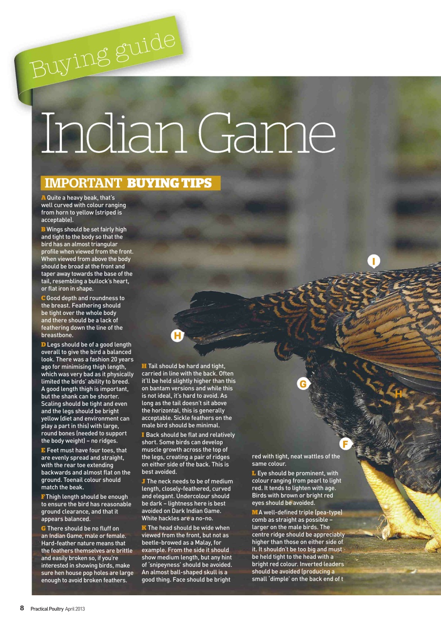 Practical Poultry Preview Pages